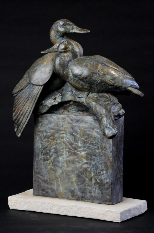 La Paire D'Amour
by Darrell Davis, NSS
Bronze 
25