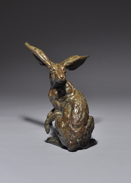 Hare Brained
by Mick Doellinger
Bronze
13.5