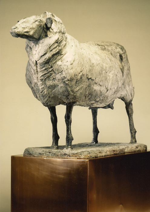 Mother of the Ram
by Floyd DeWitt, FNSS
