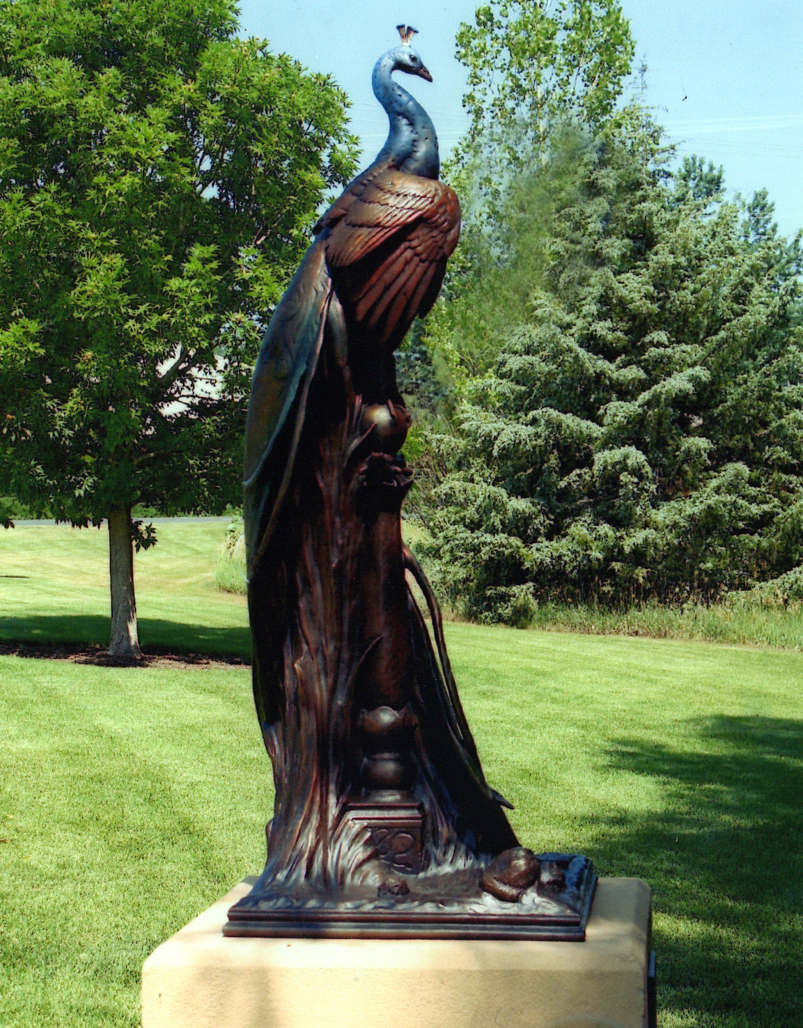 Peacock Guardian of Paradise
by George McMonigle, NSS