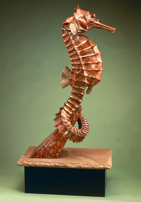 Seahorse
by Tony Hochstetler, FNSS