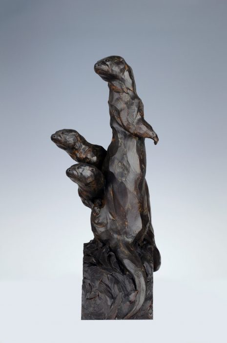 The Visitor
by Roger Martin, NSS
Bronze
36
