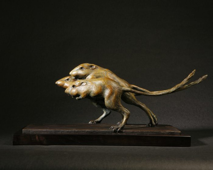 The Rat Race
by Ken Newman, NSS
Bronze
9