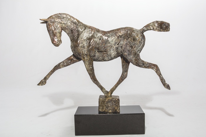 Young Horse Running
by Mark Edward Adams, NSS
