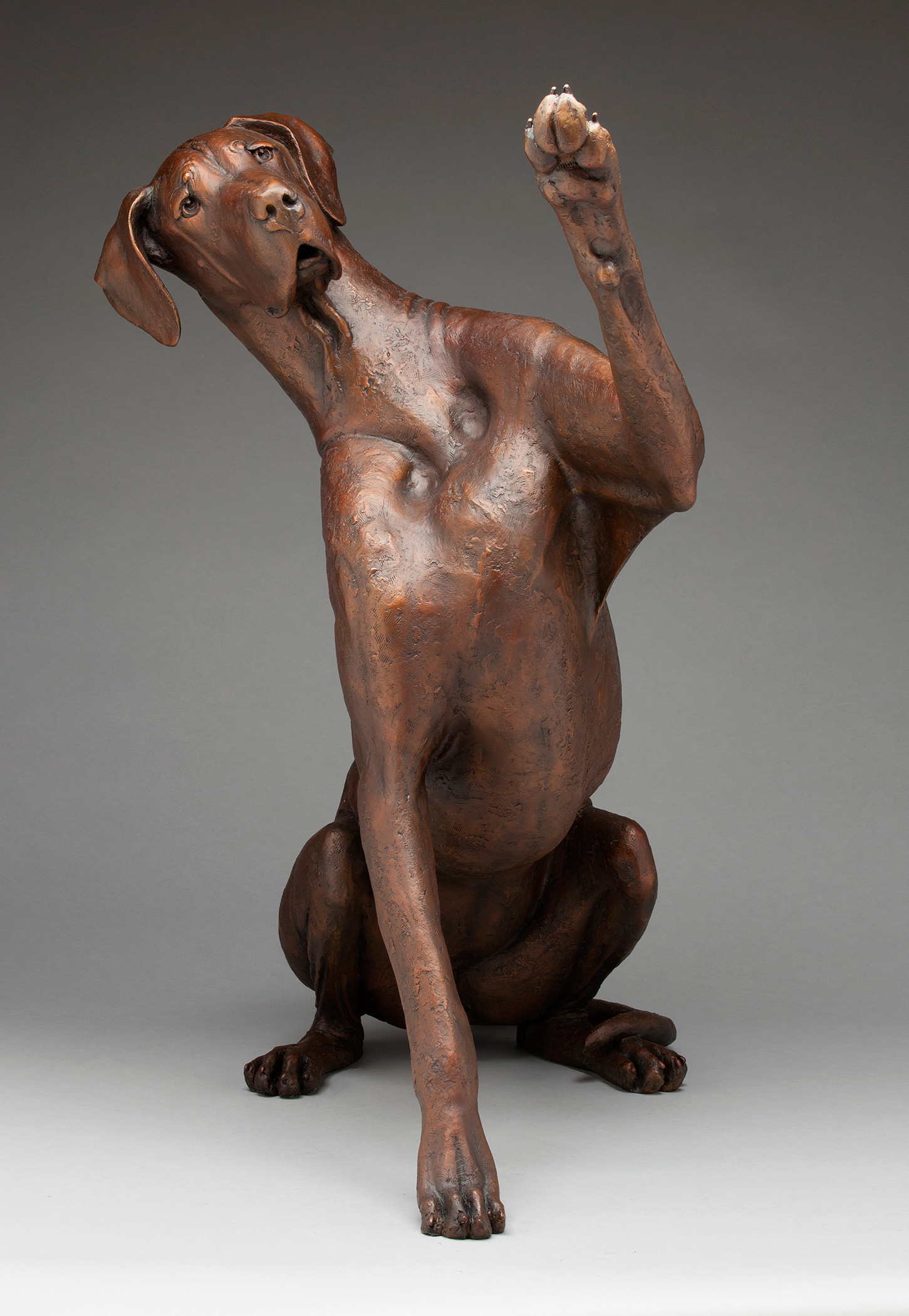 High Four
by Louise Peterson, FNSS
Bronze
44