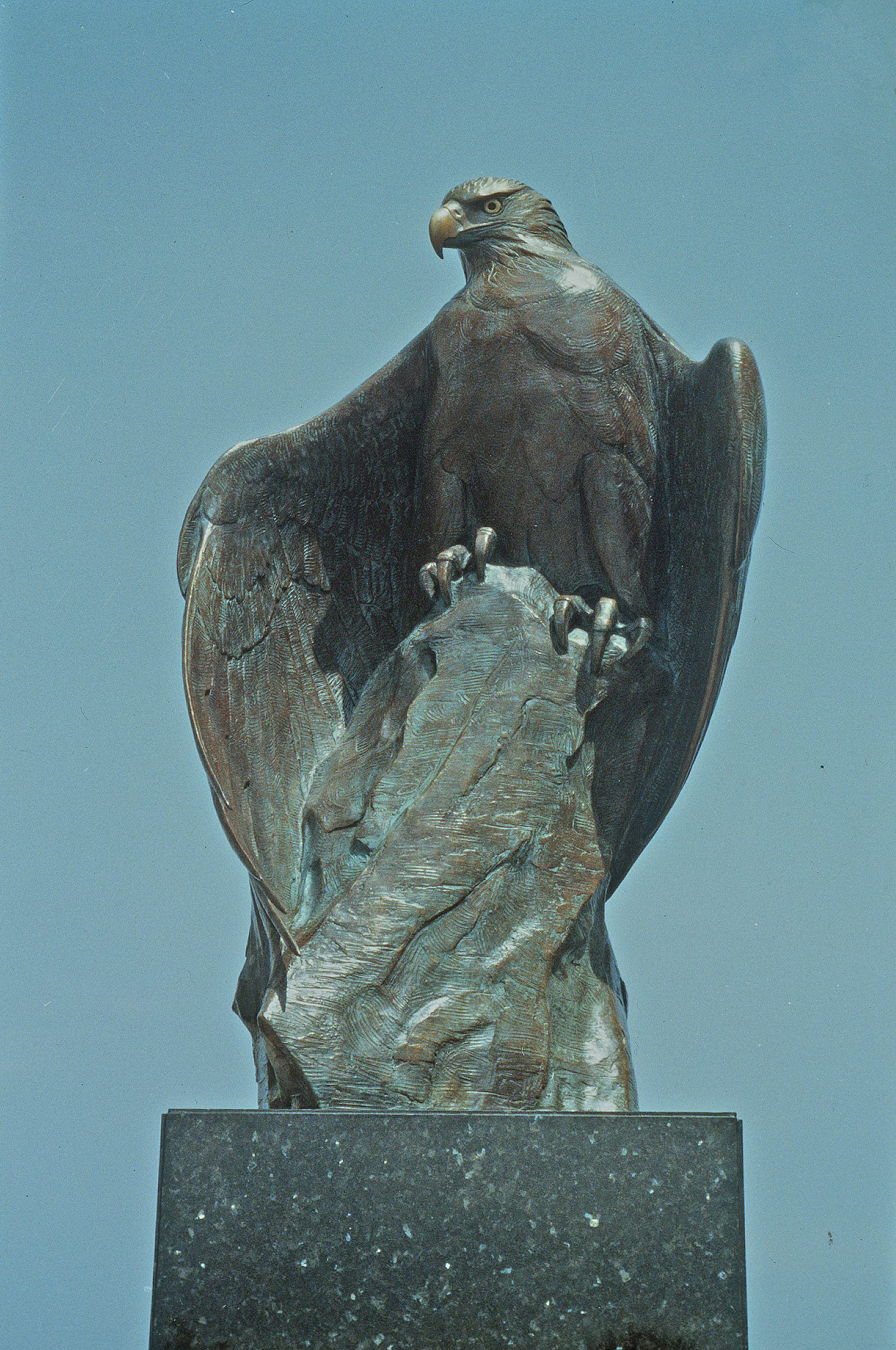 Eagle Rock
by Kent Ullberg, FNSS
Bronze
97