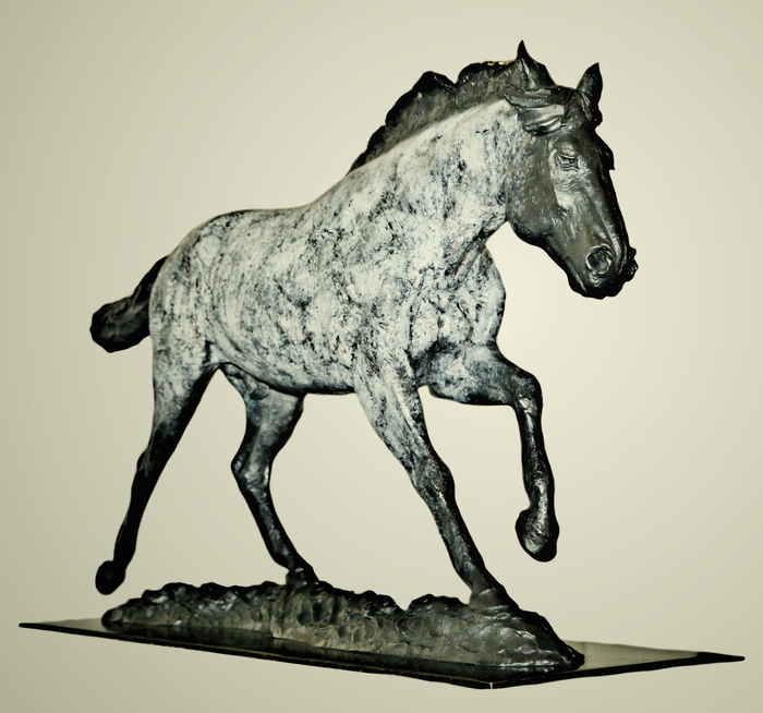 Horse With No Name
by Rod Zullo, NSS
Bronze
23