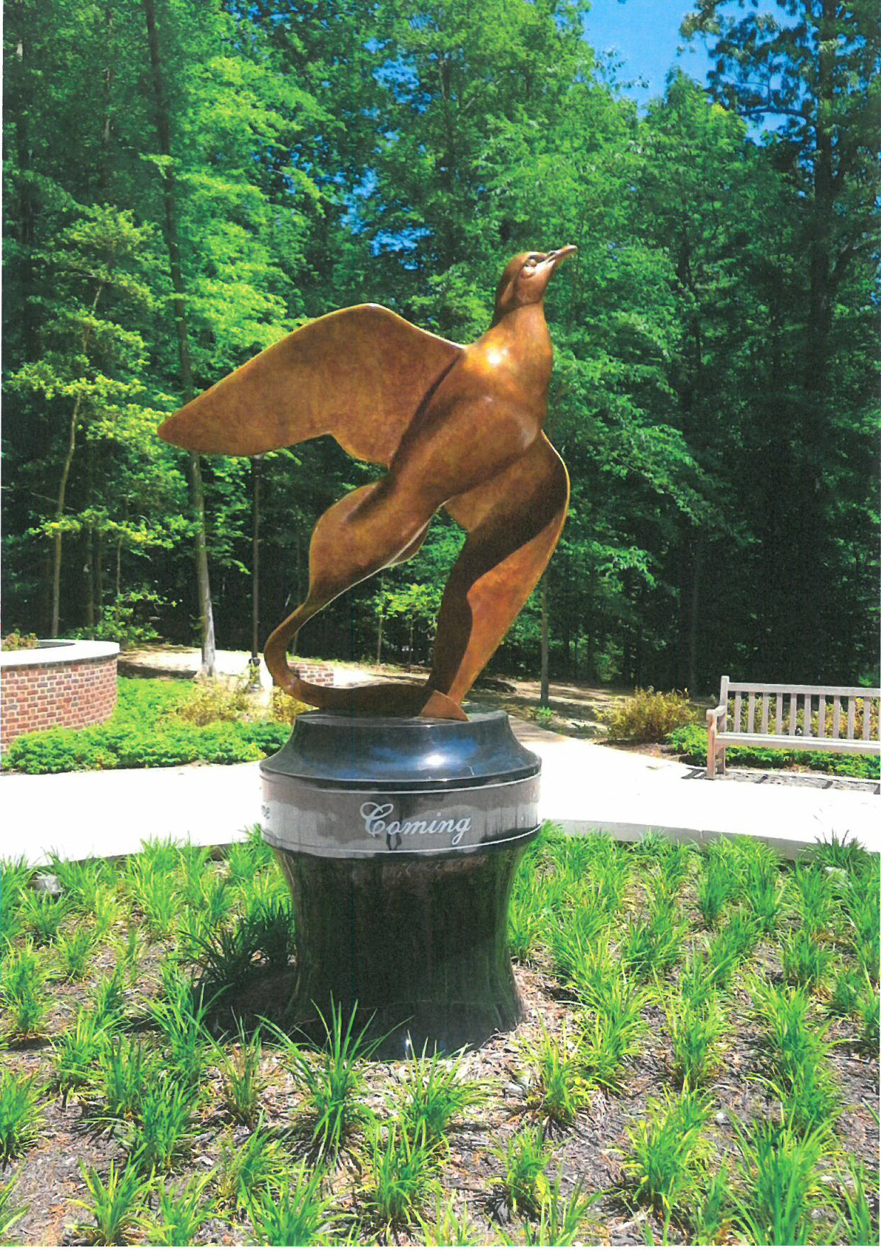 Dove Spirit
by David H. Turner, NSS
Bronze
55