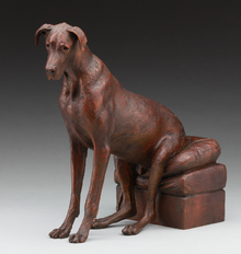 Old Timer
by Louise Peterson, FNSS
Bronze
15