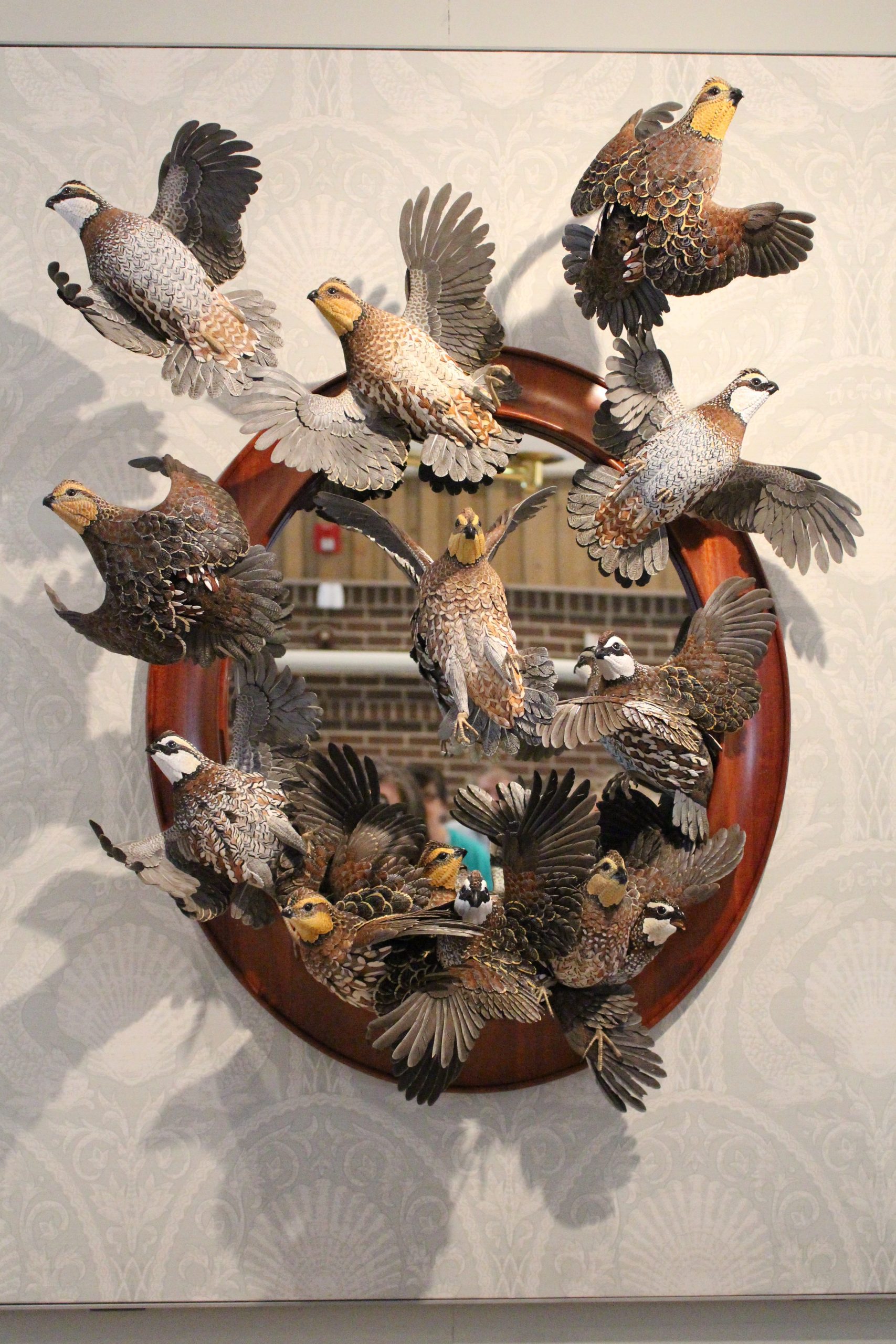 Quail Wall Mount
by Grainger McKoy, NSS