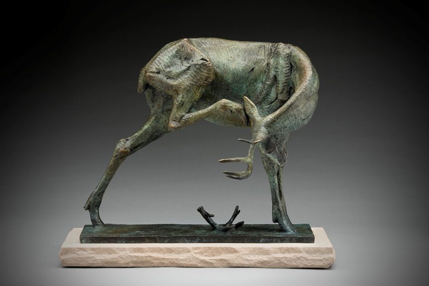 Deer
by Darrell Davis, FNSS
Bronze