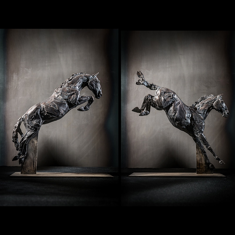 Jumper (diptych)
by Stephanie Revennaugh, NSS
Bronze
20