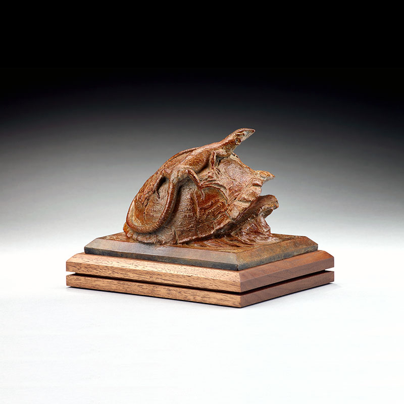 Balance of Nature V: Box Turtle with Lizard
by Garland Weeks, FNSS
Bronze
4.5