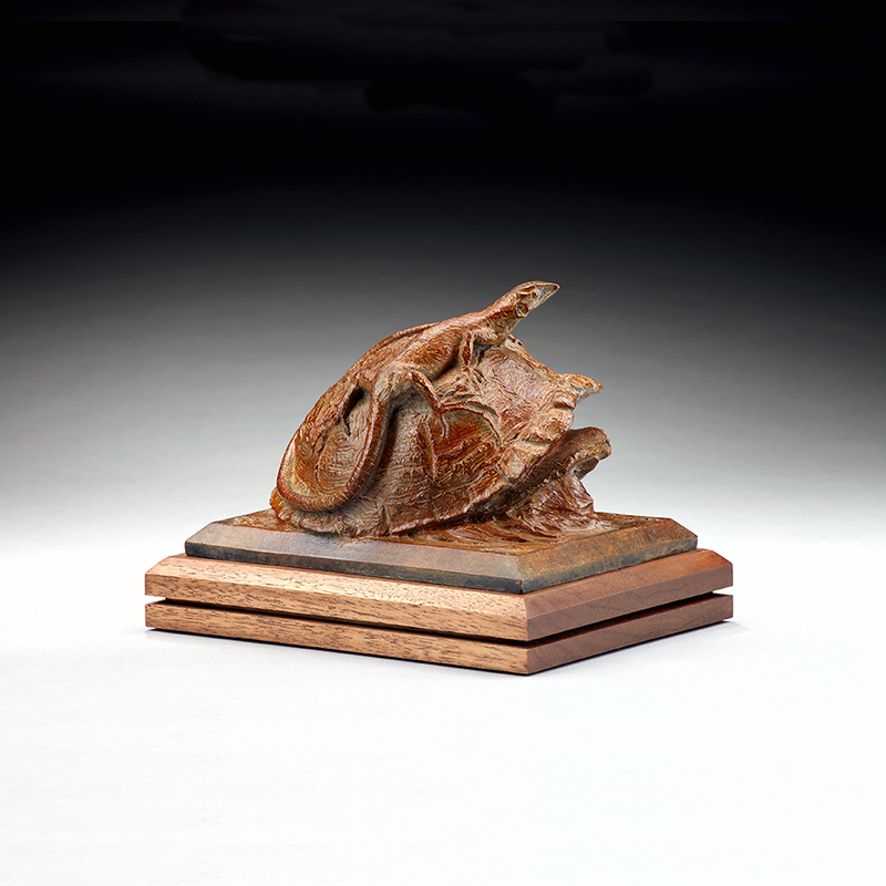 Marion and Gilbert Roller Memorial Prize
Balance of Nature V: Box Turtle with Lizard by Garland Weeks, FNSS