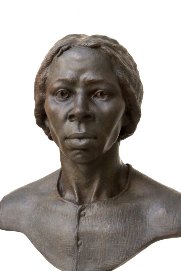 Fearless in Fear - A Young Harriet Tubman 
by Kate Brockman, FNSS
NSS Gold Medal and Charlotte Geffken Prize of $4,000
