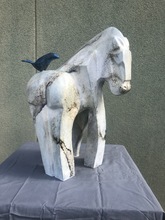 One Trick Pony
by Mark Yale Harris
Bronze
12