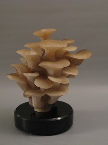 Oyster Mushrooms
by Kathryn Vinson
Agata Alabaster
10