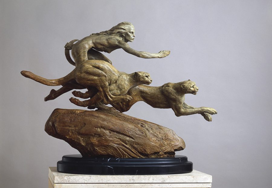 Diana and the Coursing Cheetahs
by Richard MacDonald, FNSS