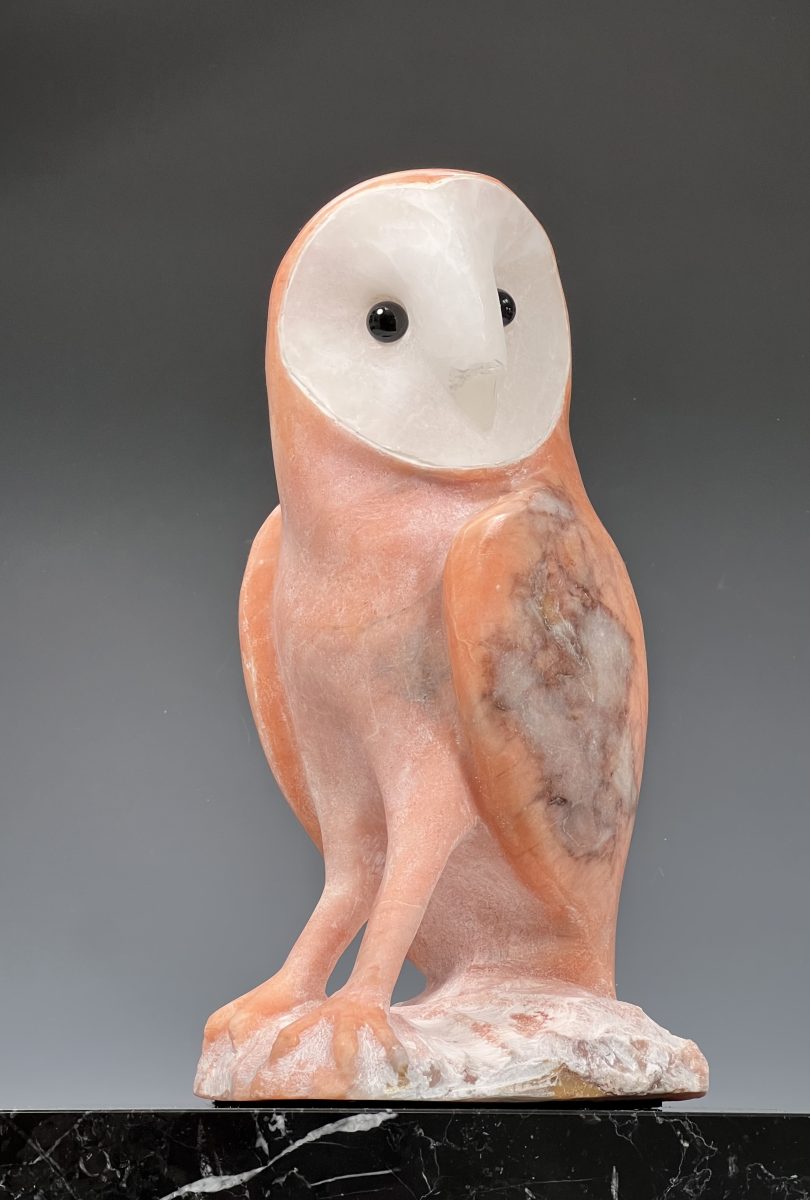 Barn Owl
by Philip Monteleoni