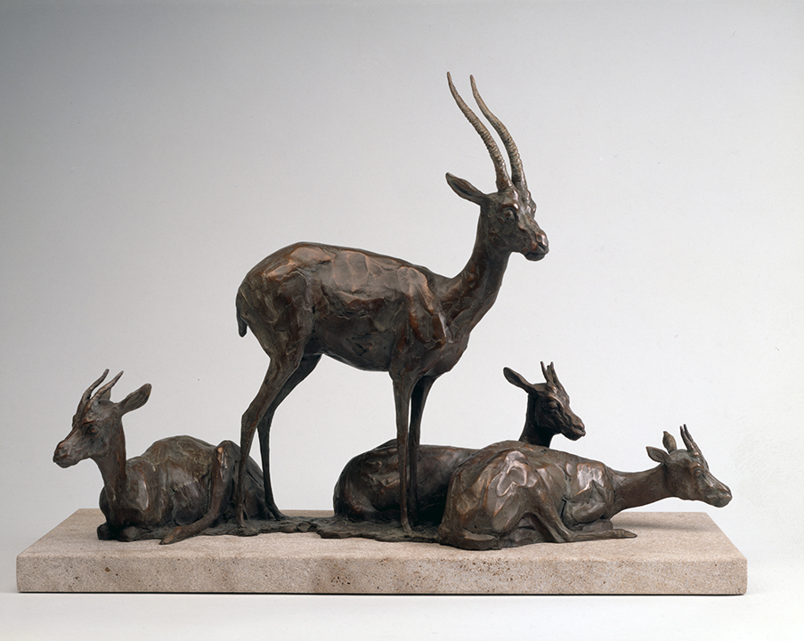 Thomson's Gazelles by Peter Brooke, NSS