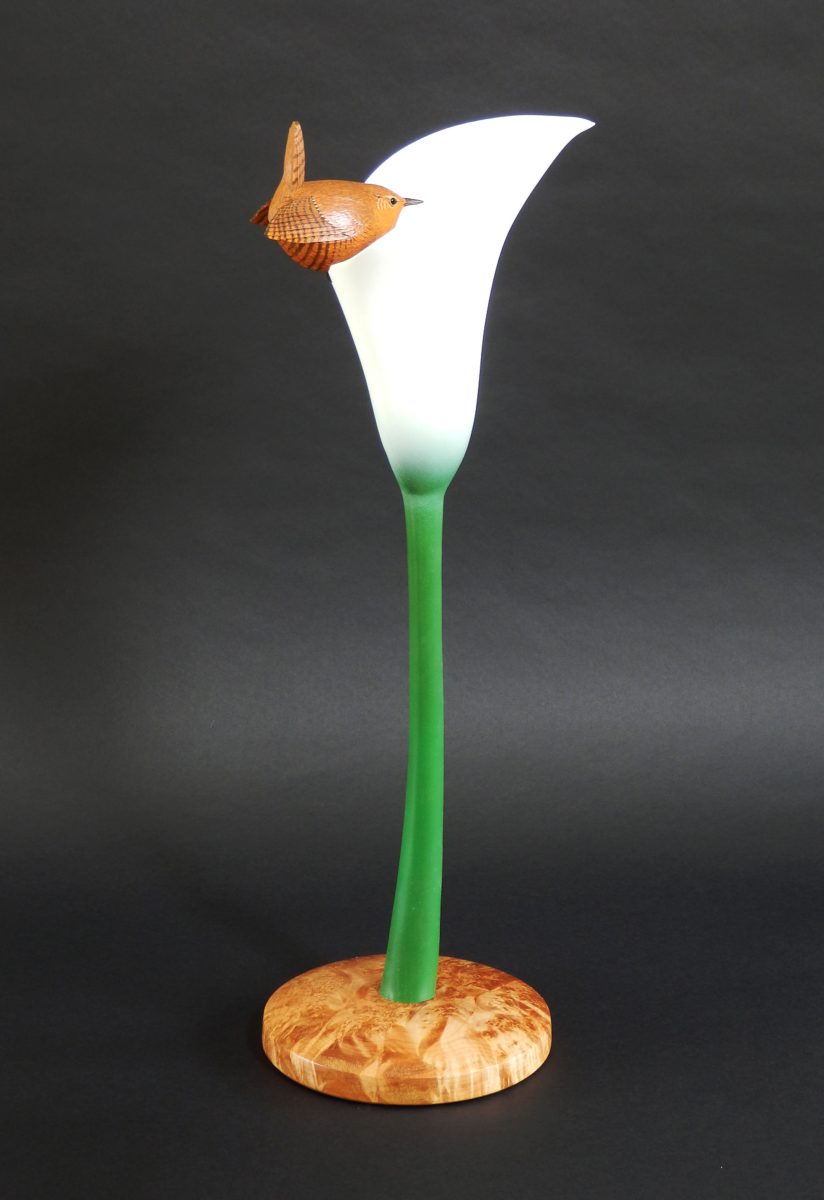Calla Lily (Looking for Spiders) by Nick Lamb, NSS