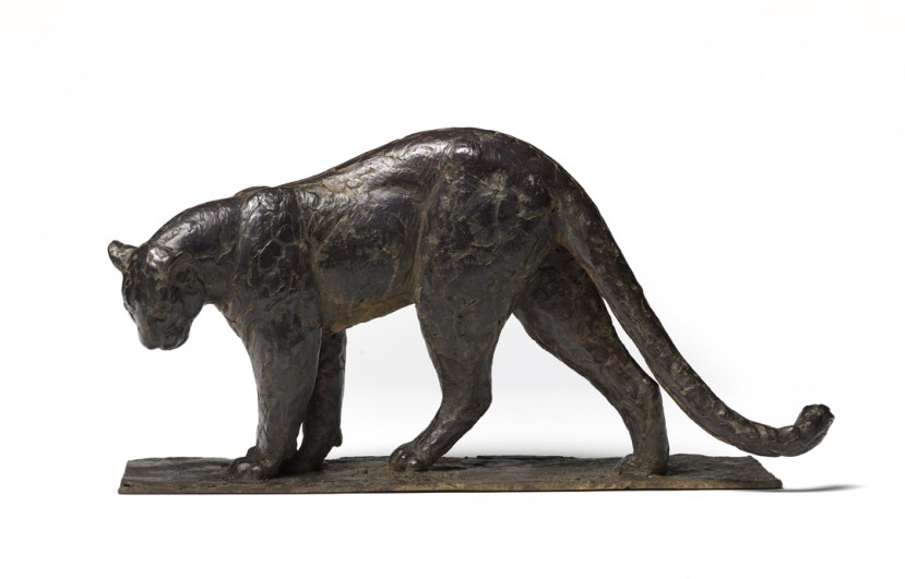 Small Leopard by Peter Brooke, FNSS